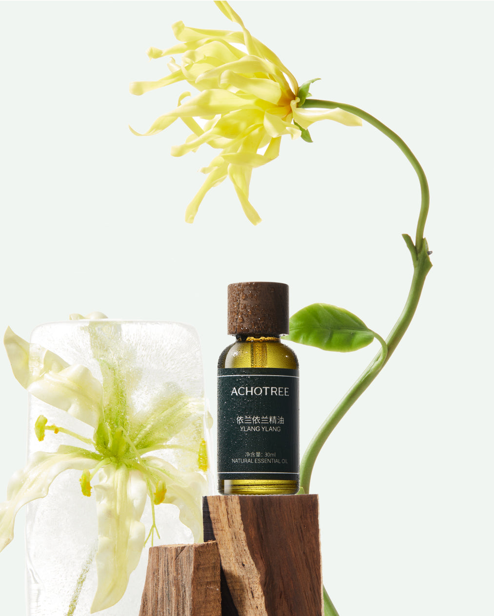 Ylang Ylang Essential Oil